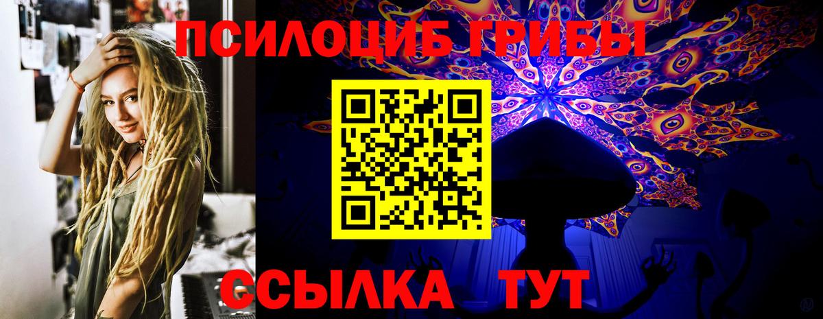 Галлюциногенные грибы MAGIC MUSHROOMS  Вход с VPN  Ялта 